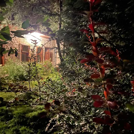 Lejlighed Kohaz Apartman