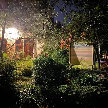 Kohaz Apartman Lejlighed