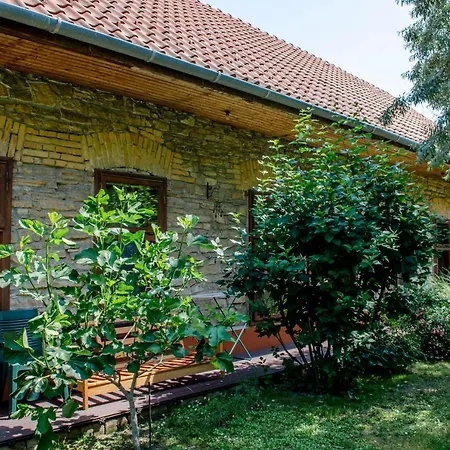 Kohaz Apartman Lejlighed *