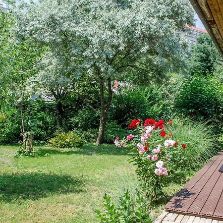 Kohaz Apartman Veszprém