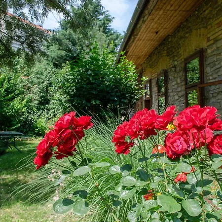 Lejlighed Kohaz Apartman *